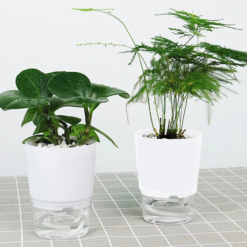 Self-Watering Hydroponic Plant Pot