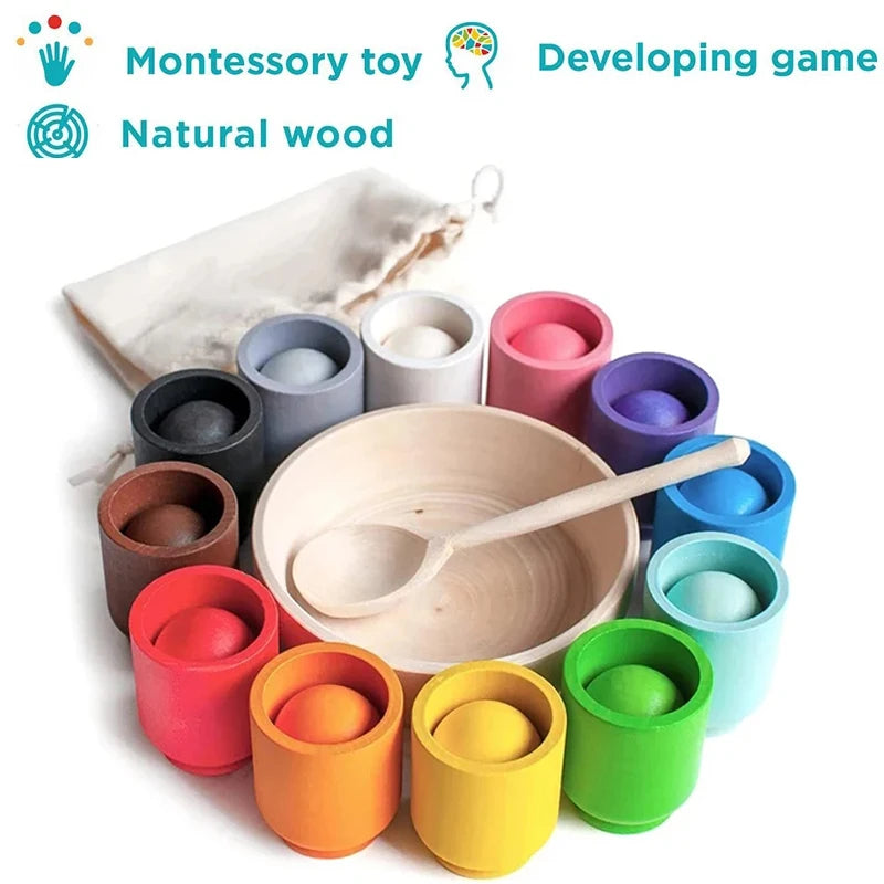 Montessori Rainbow Color Sorting Toy