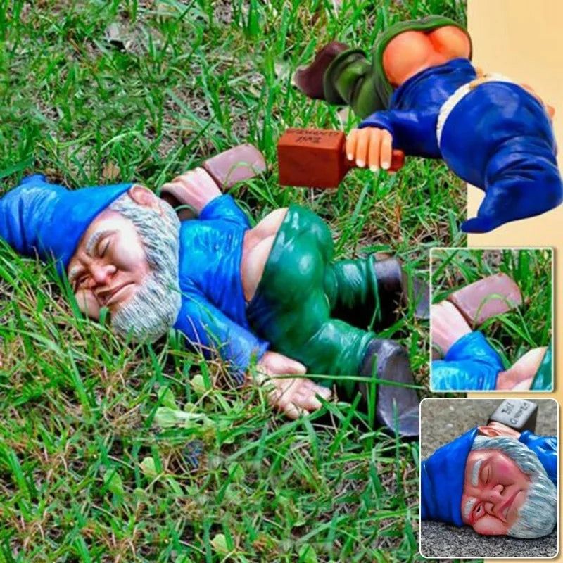 Funny Naughty Gnome Decor