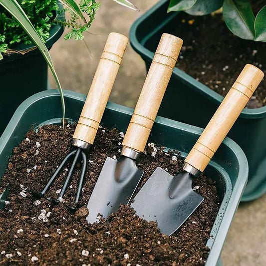 Mini Garden Tool Set - 3Pcs