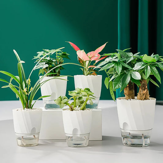 Hydroponic Self-Watering Flower Pot