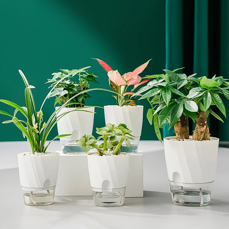 Self-Watering Hydroponic Flower Pot