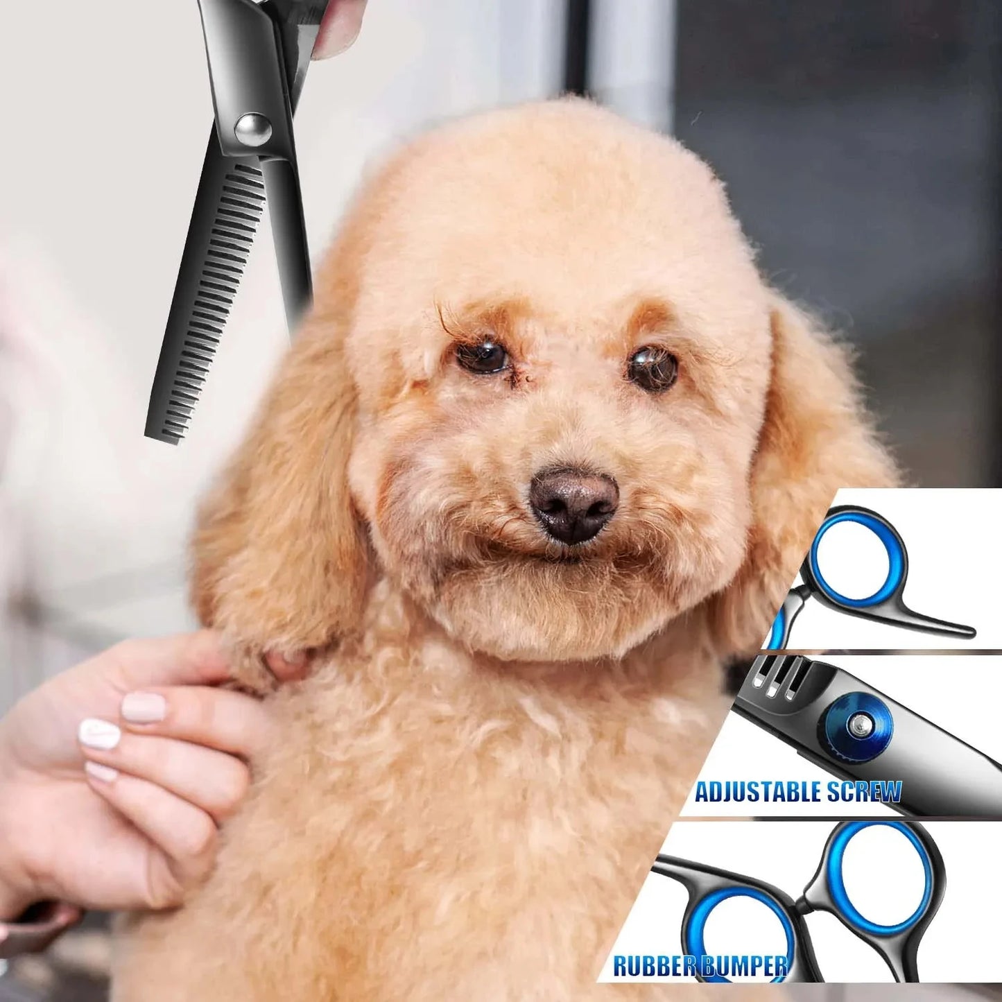 Premium Titanium Coated Dog Grooming Scissors