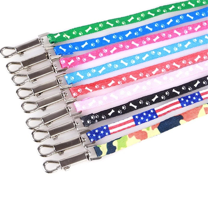 Cute Pet Leash and Harness Set - 10 Colors