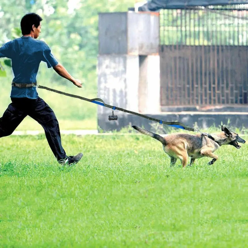 Reflective Hands-Free Dog Leash with Waist Belt