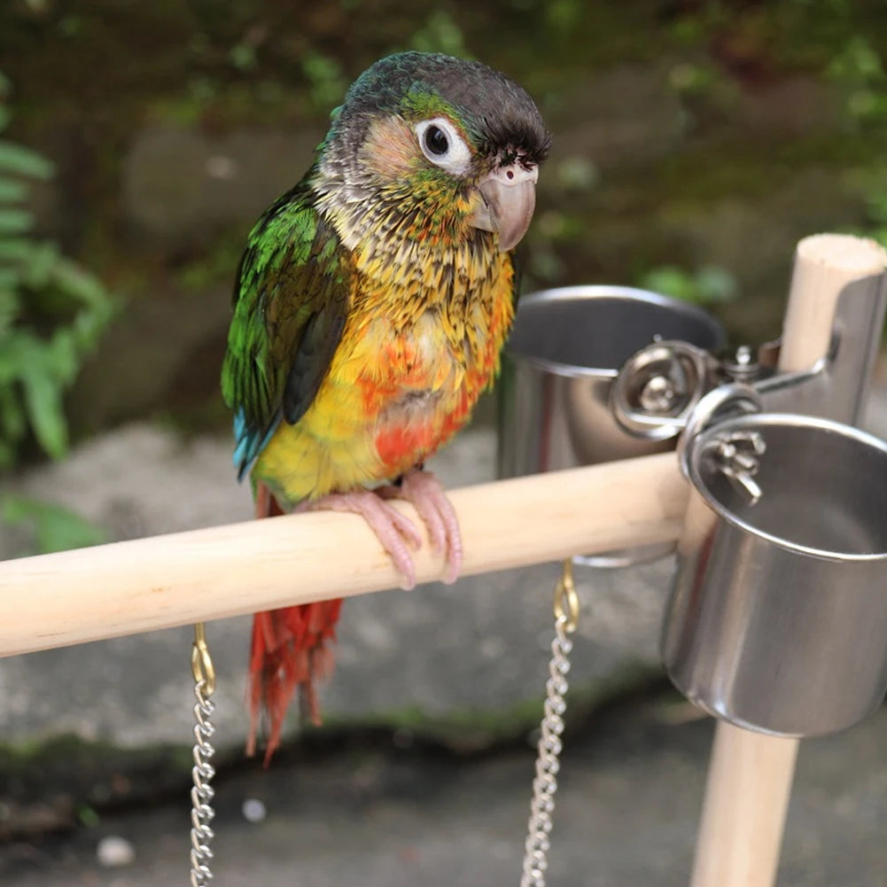 Premium Bird Playground Perch Stand