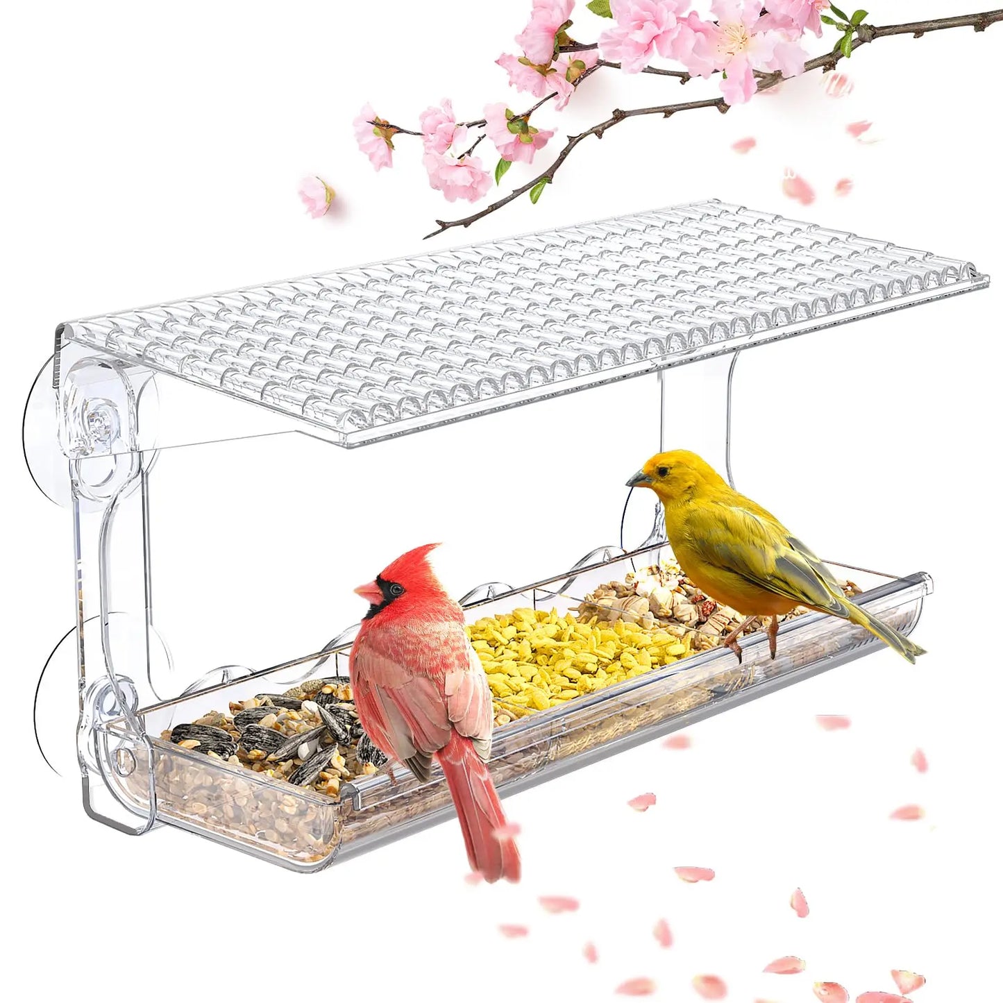 Clear Window Bird Feeder with Suction Cups