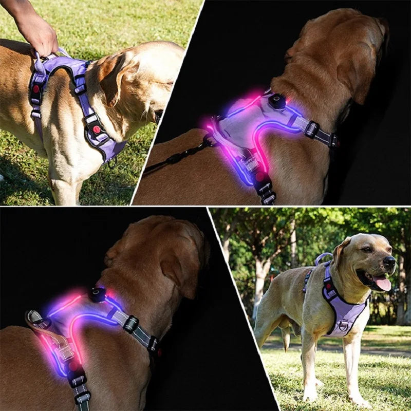 LED Light Reflective Dog Harness