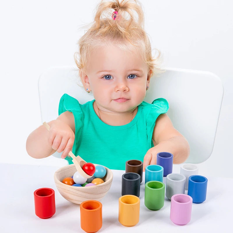 Montessori Rainbow Color Sorting Toy