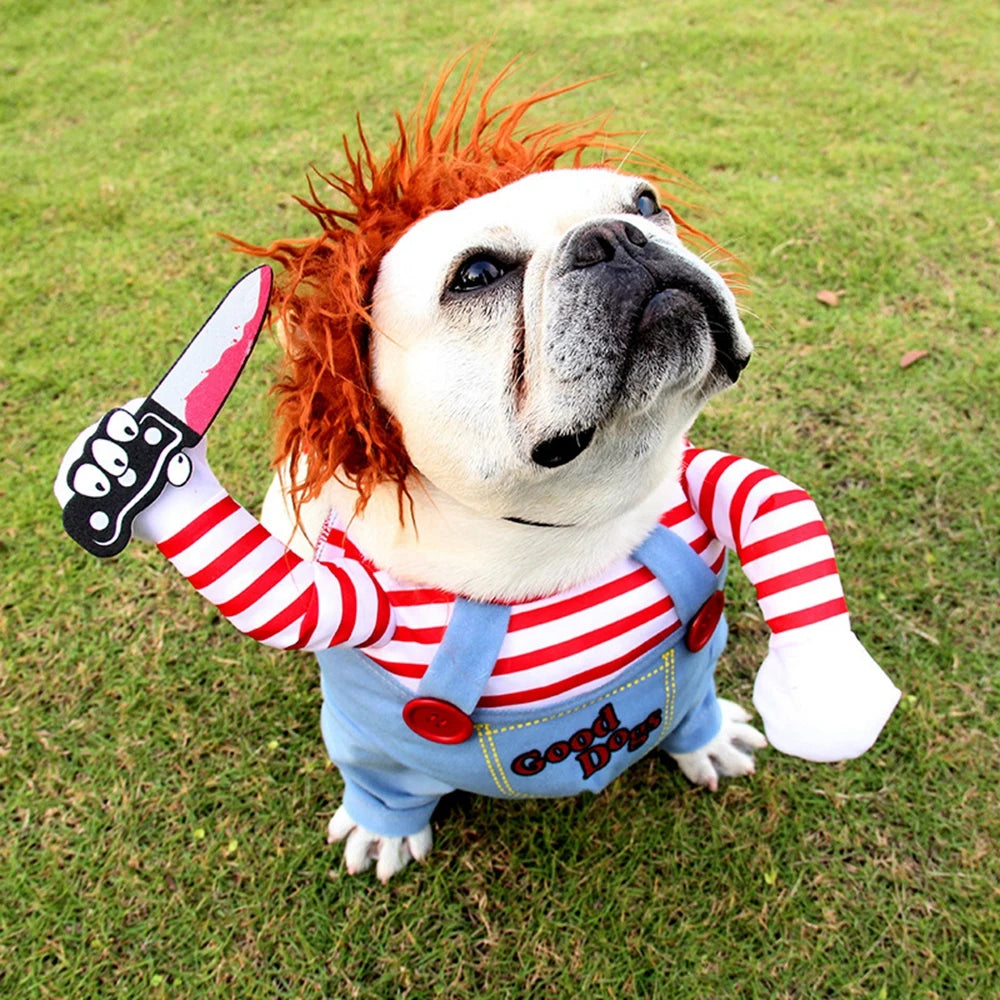 Funny Pet Dog Halloween Costume Set