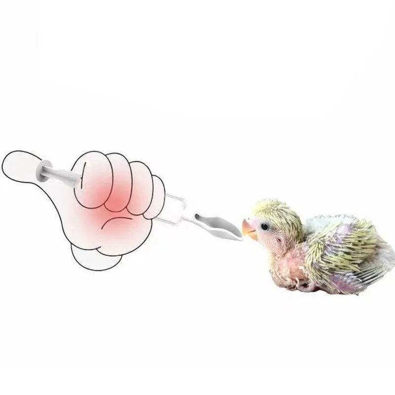 Bird Baby Feeder Set with Scale