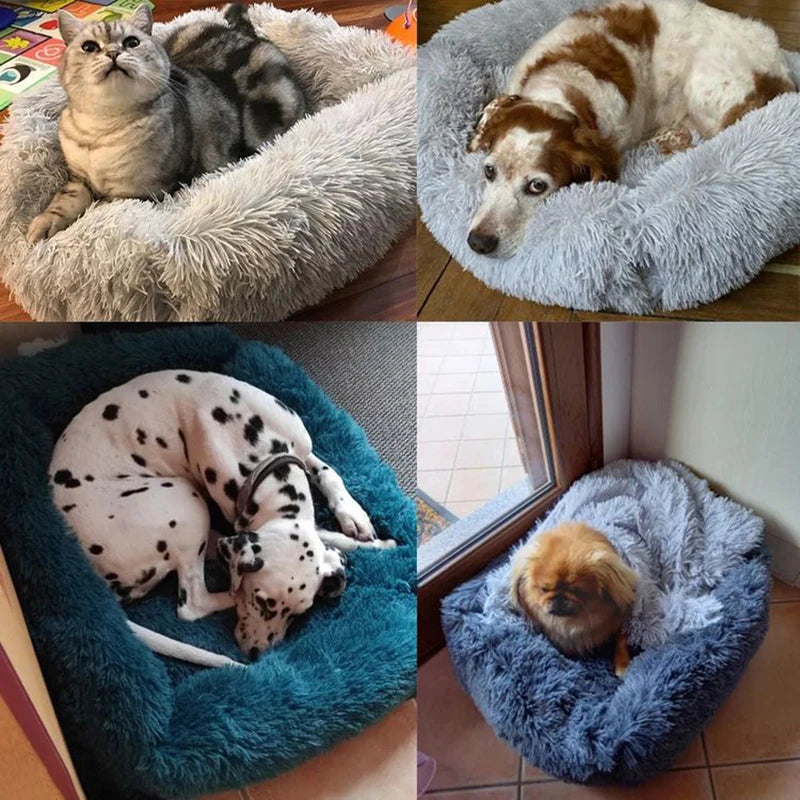 Plush Winter Dog Bed - Comfortable & Portable