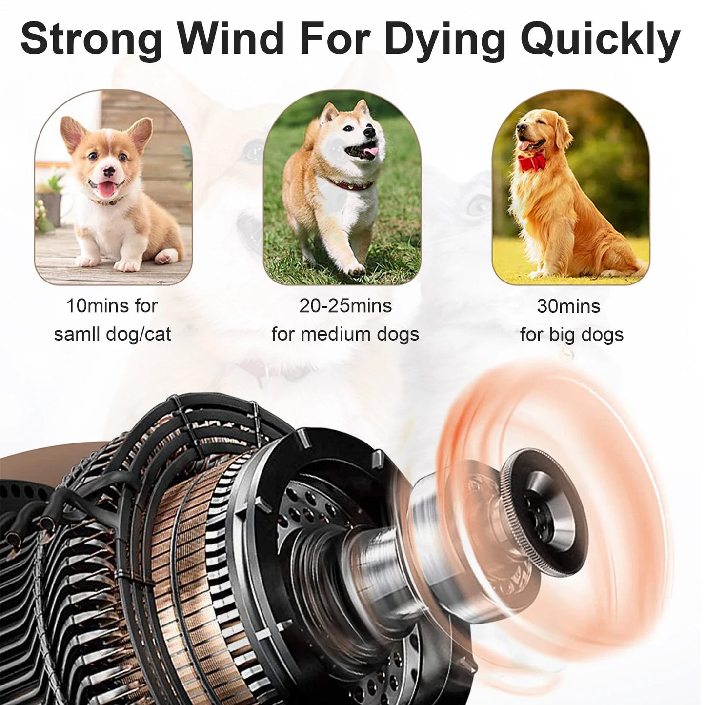 Professional 2800W Dog Hair Dryer with 3 Nozzles