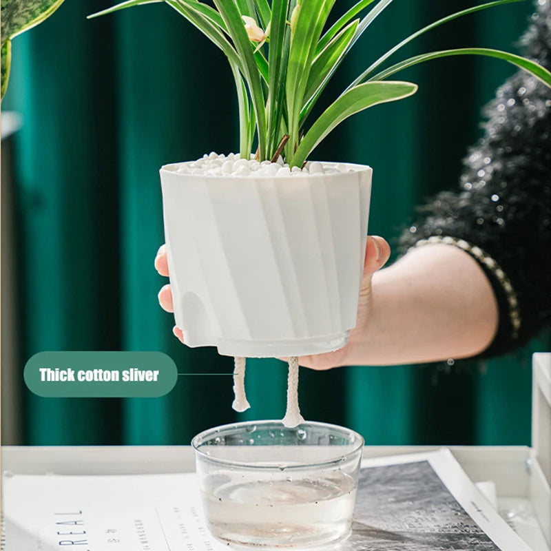 Hydroponic Self-Watering Flower Pot