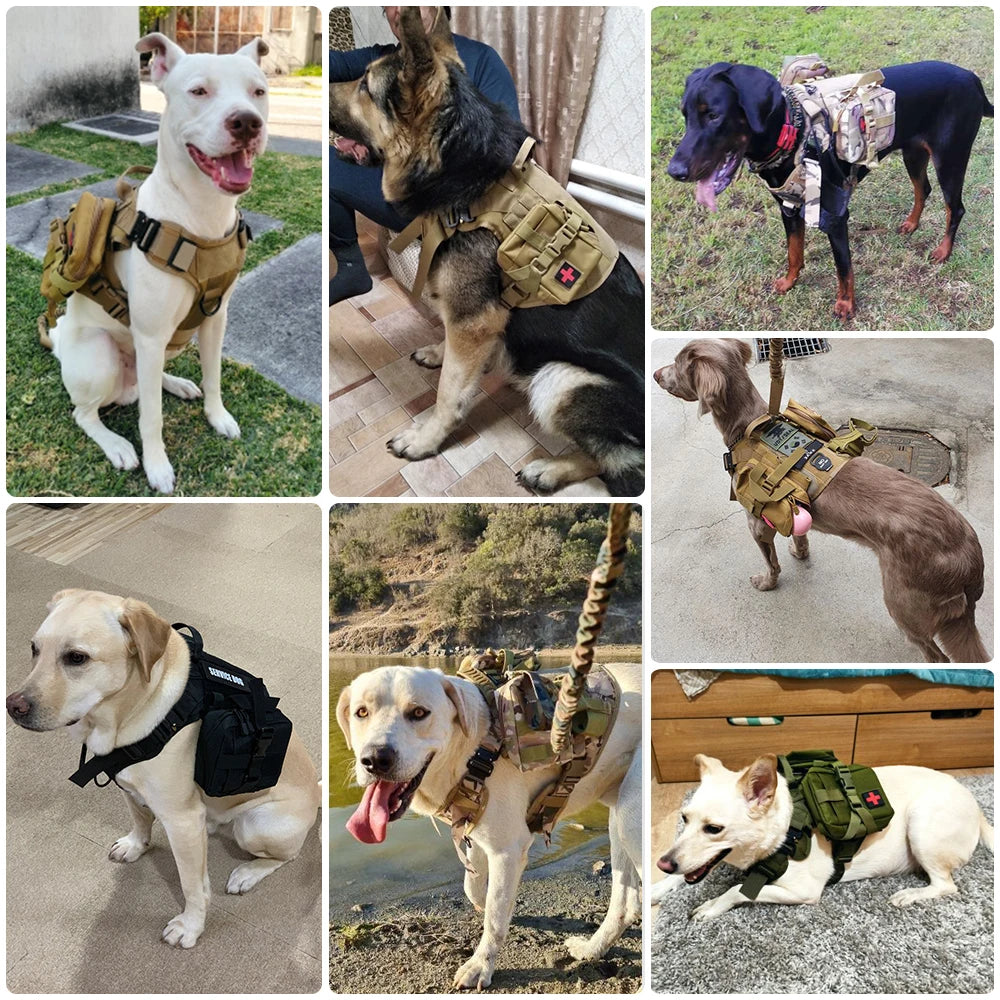 Military Tactical Dog Harness Set