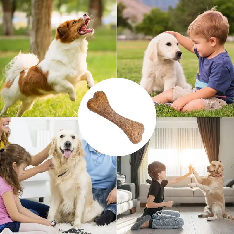 Long-Lasting Hard Chew Bone Toy For Dogs