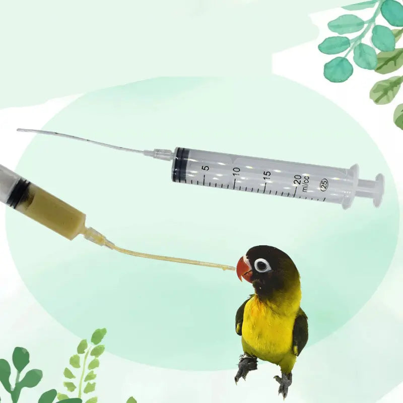 Baby Bird Feeder Parrot Syringe