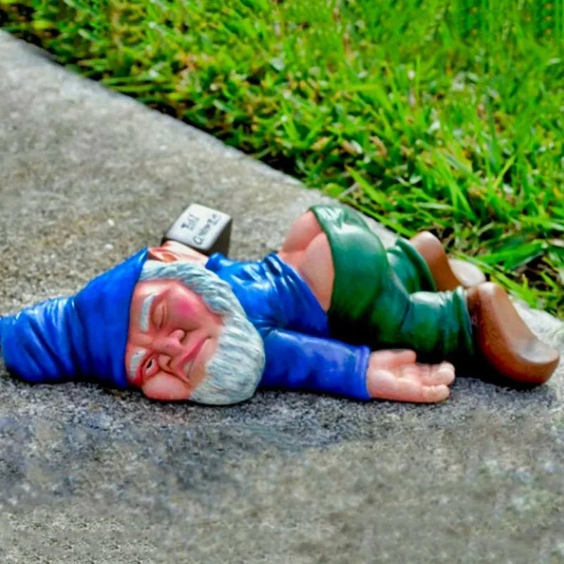 Funny Naughty Gnome Decor