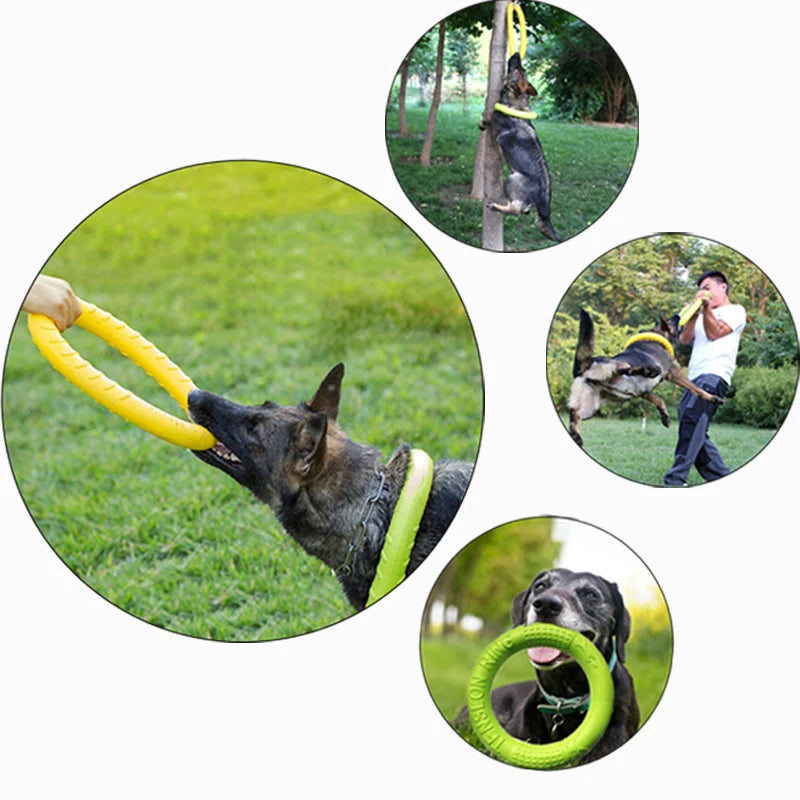 Interactive Floating Dog Training Ring Toy