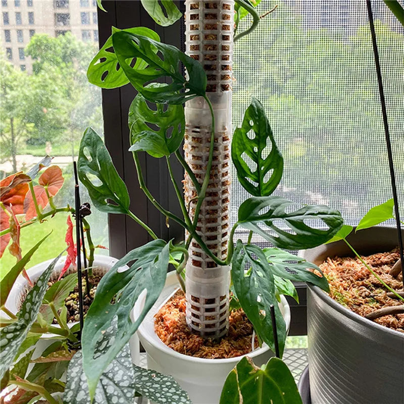 Climbing Plant Support Pole - Easy Vertical Growth