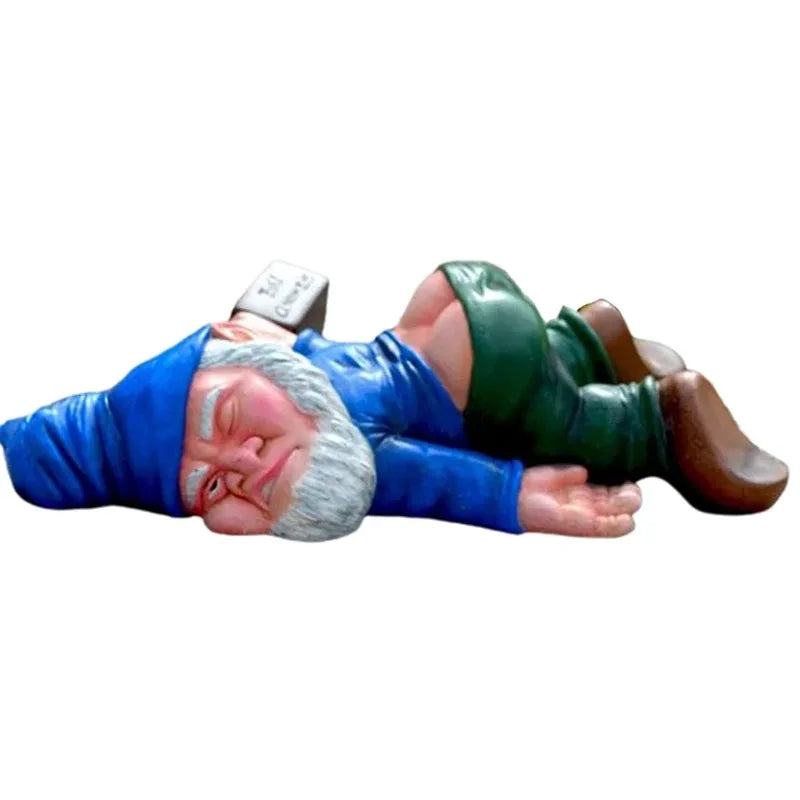 Funny Naughty Gnome Decor