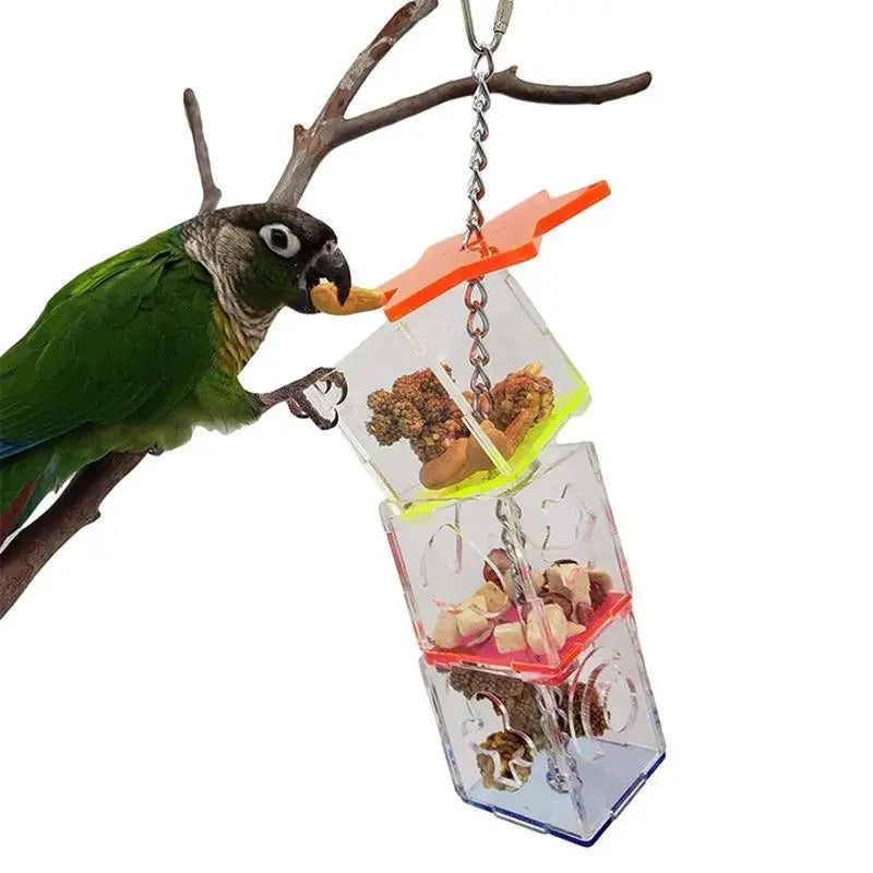 Transparent Parrots Food Feeder