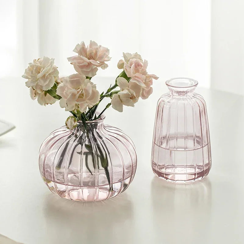 Modern Glass Flower Vase - Living Room Decor Essential