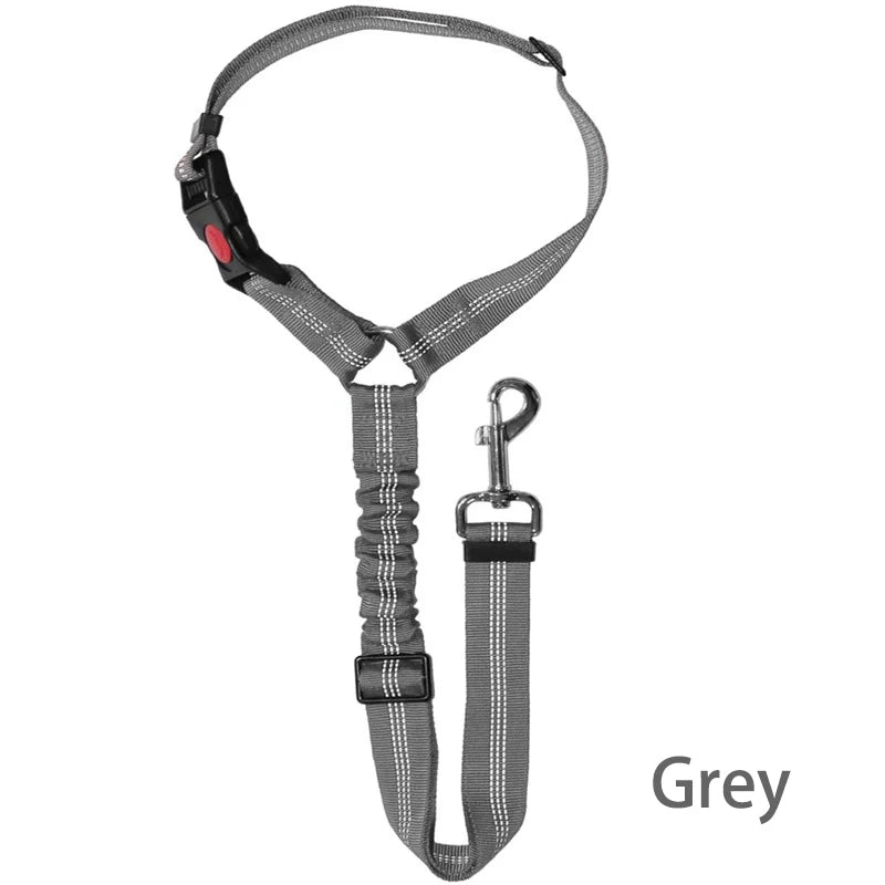 Solid Two-in-One Dog Harness & Leash