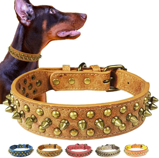 Pet Rivets Bite-Resistant Collar & Leash Set