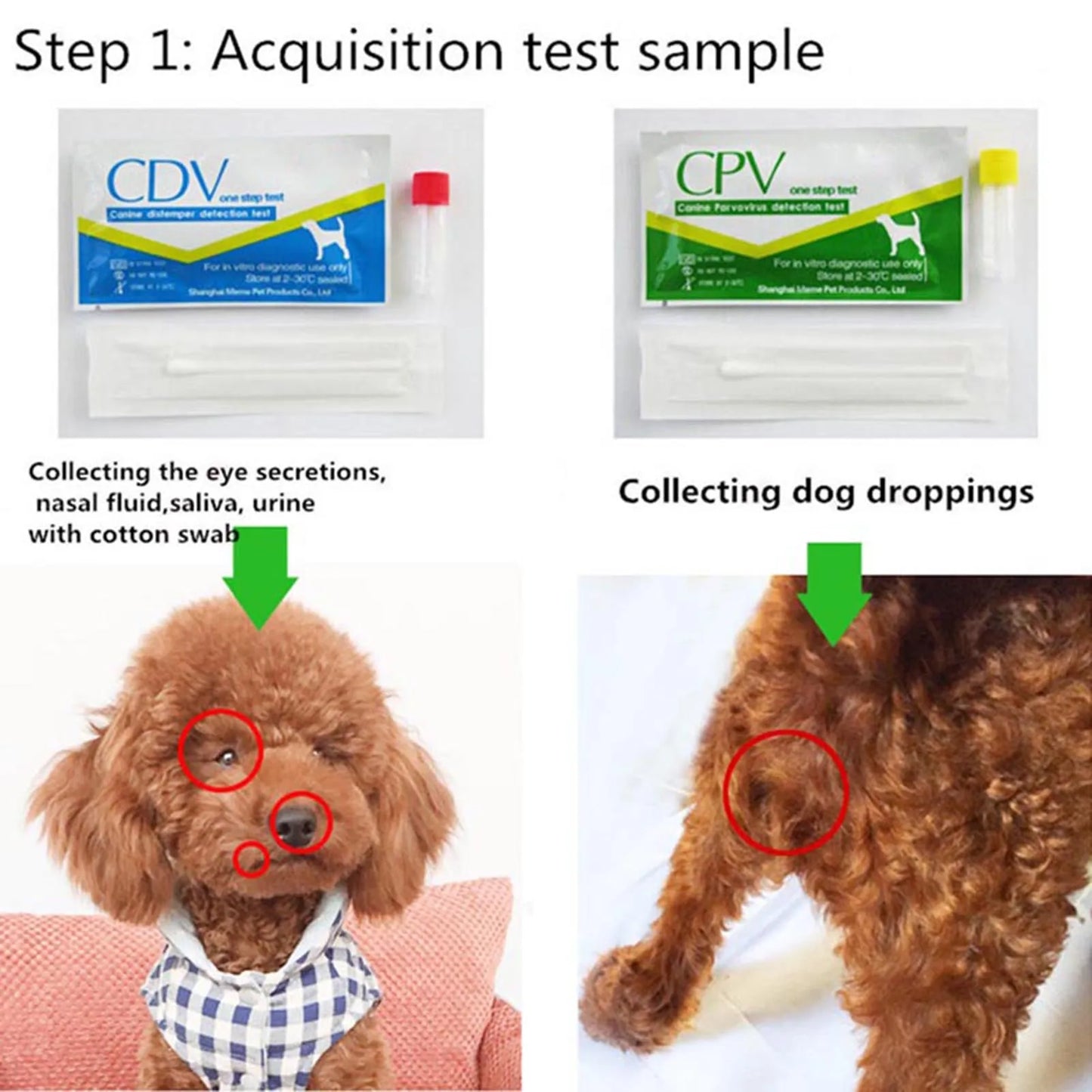 Dog CDV/CPV Health Test Kit