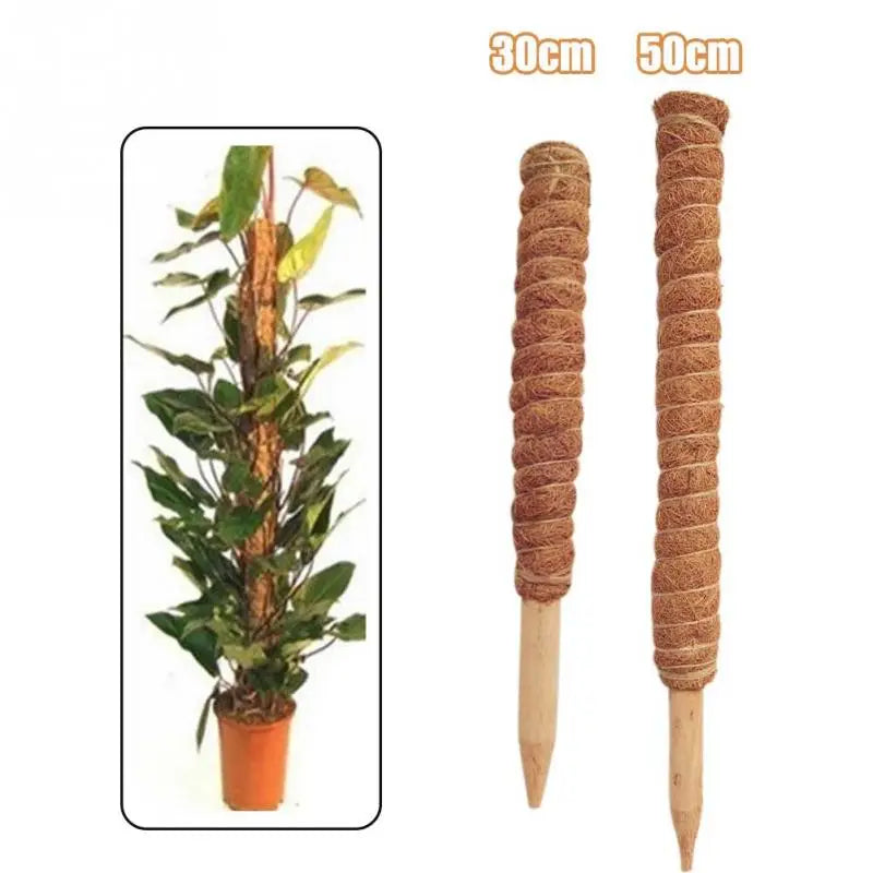 30cm Plant Climbing Coir Totem Pole