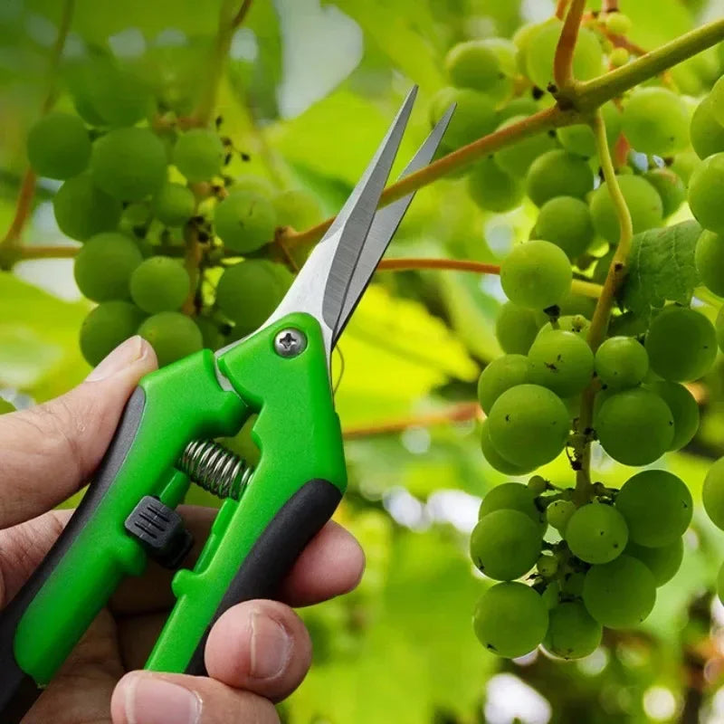 Metal Garden Pruning Shear - Precision Bonsai Scissors