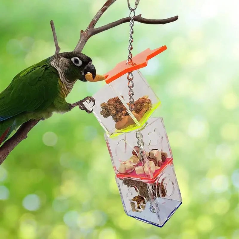 Transparent Parrots Food Feeder