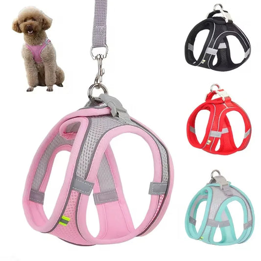 Reflective Striped Puppy Harness & Leash Set