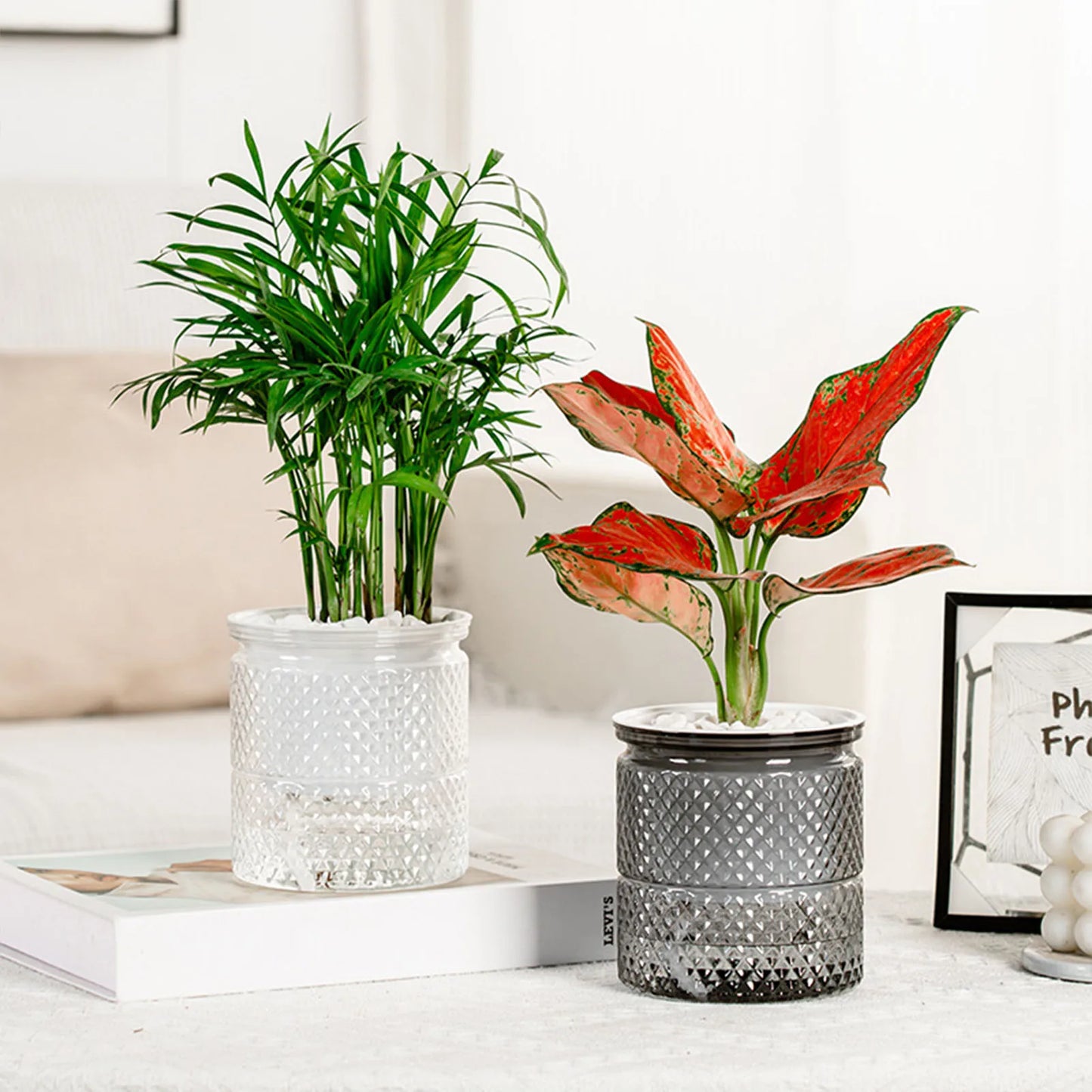 Modern Self-Watering Plant Pots