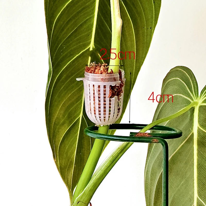 Climbing Plant Support Extension Pole