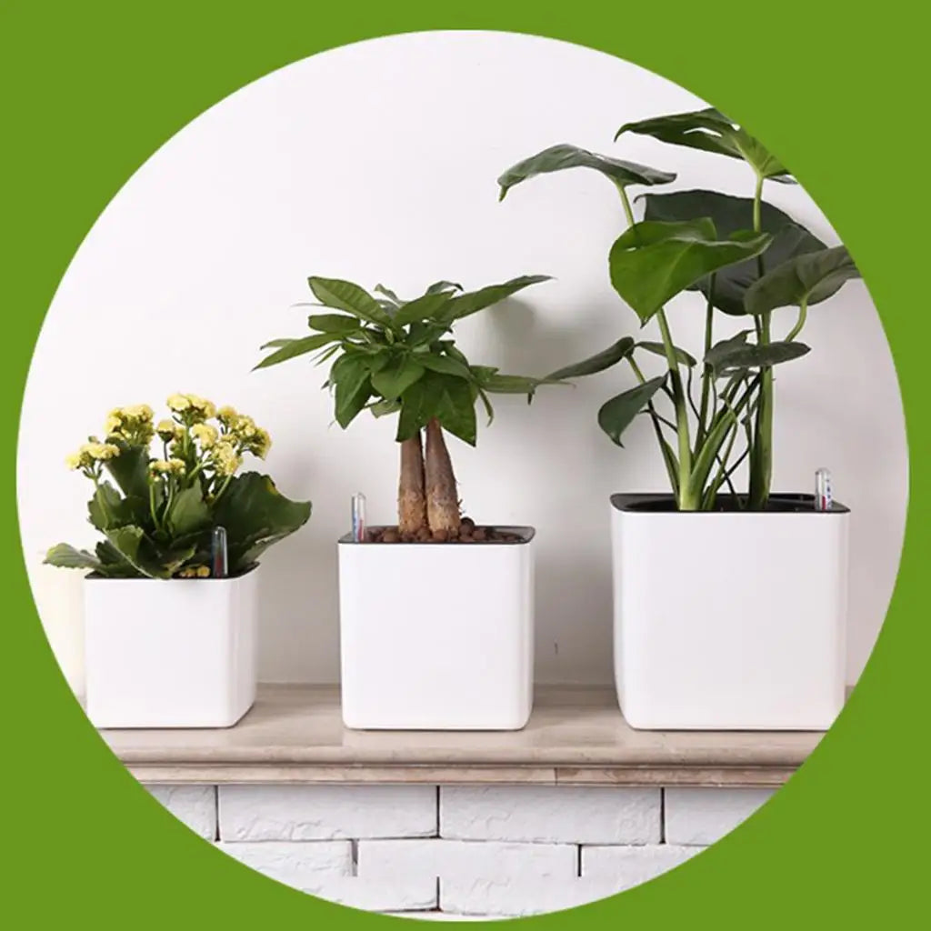 White Self Watering Planter Pot