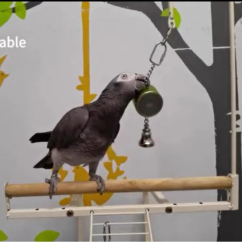 Interactive Bird Training Toy - Upgraded Version