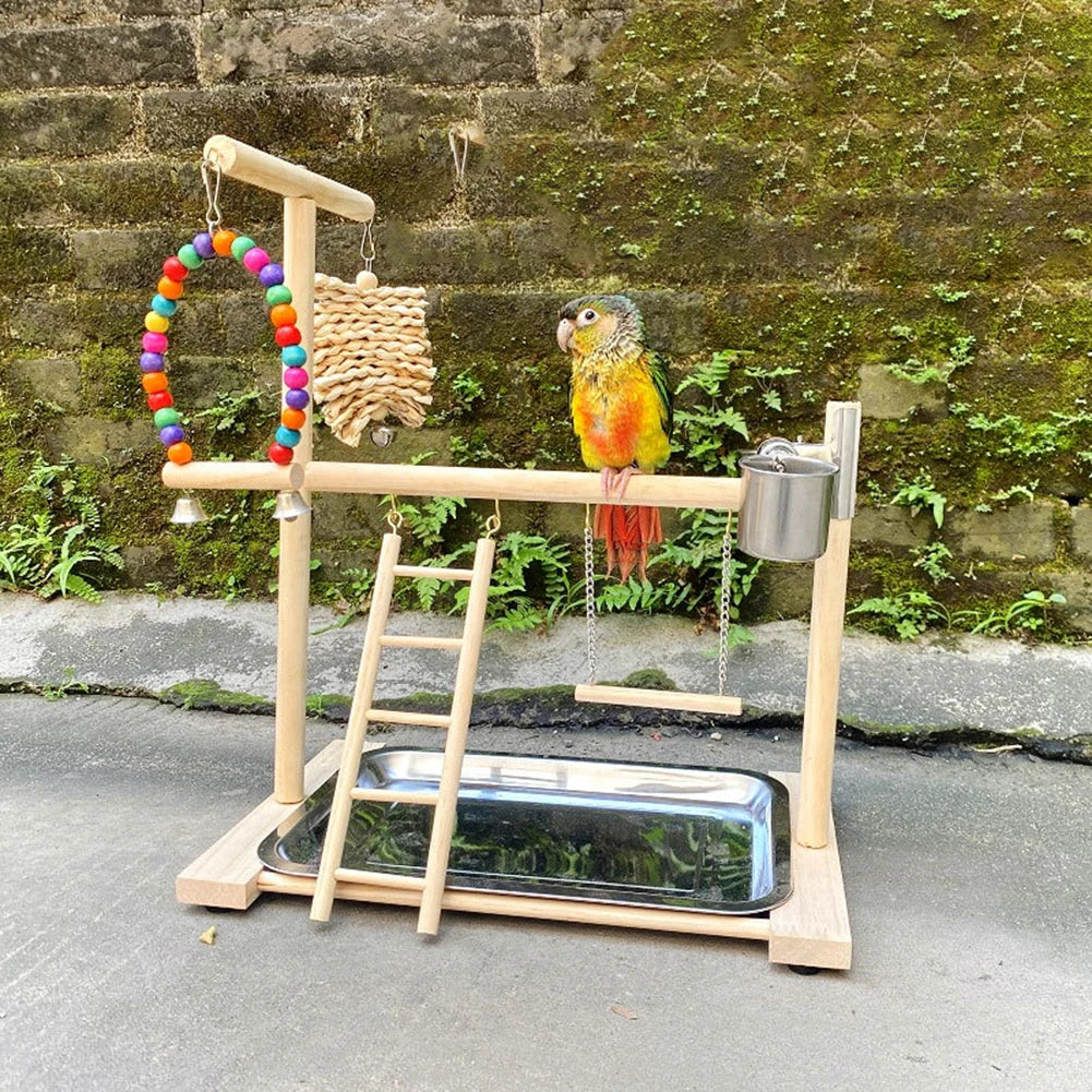 Premium Bird Playground Perch Stand