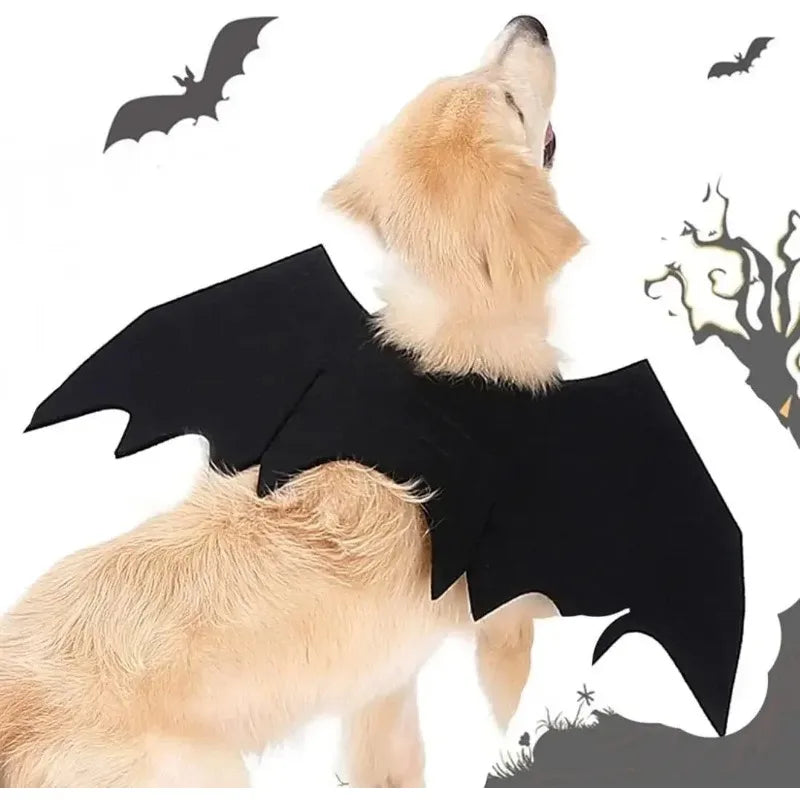 Dog Halloween Bat Wings Costume