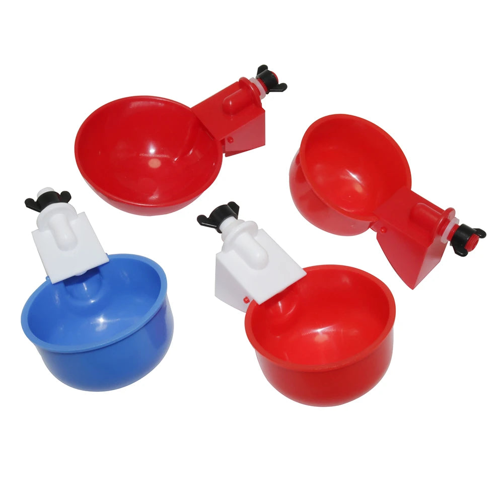 Premium Bird Feeder & Waterer Set