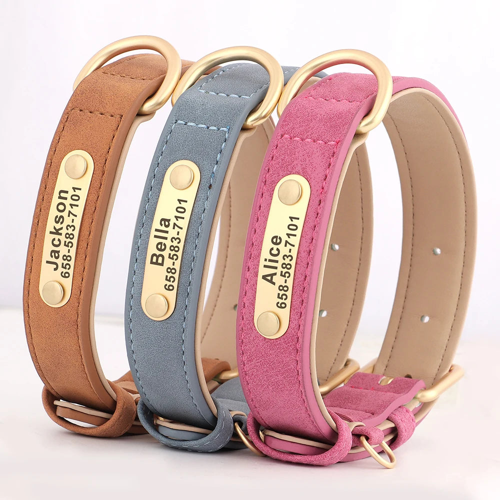 Custom Engraved Dog Collar - Personalized ID Tag Nameplate