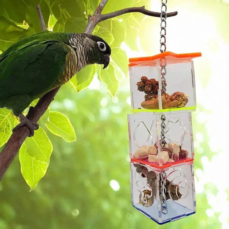 Transparent Parrots Food Feeder