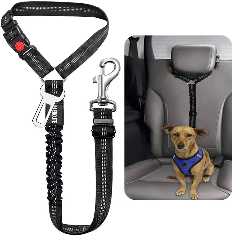 Solid Two-in-One Dog Harness & Leash