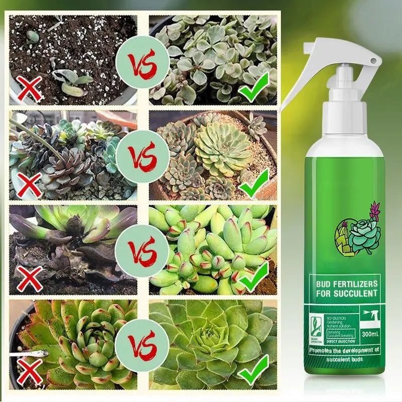 Bud Fertilizer for Succulent Plant 300ml