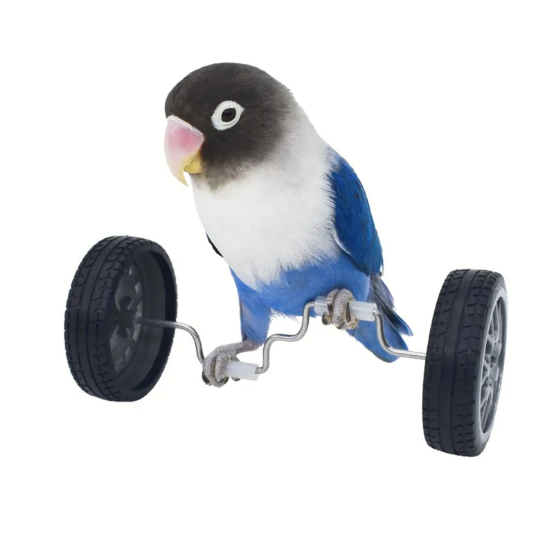 Phoenix Bird Parrot Balance Car Toy