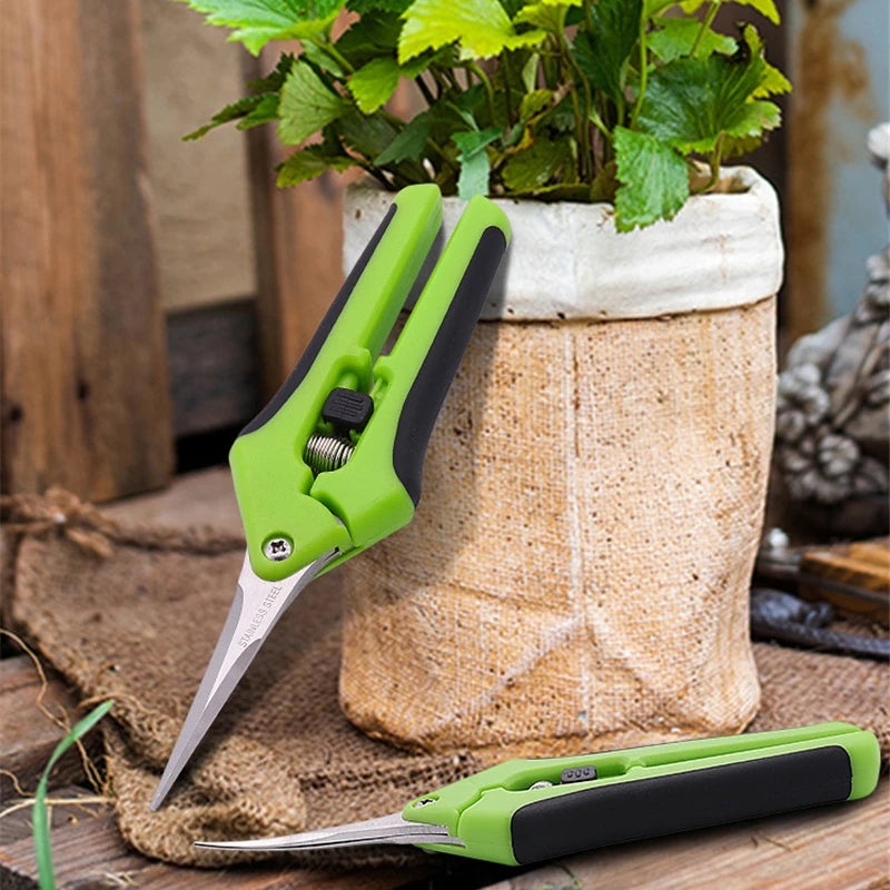 Premium Stainless Steel Bonsai Shears