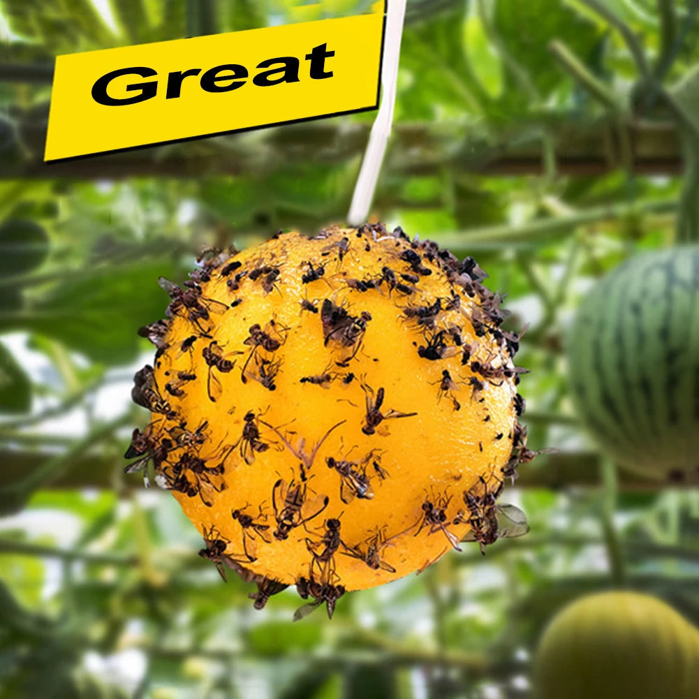 Hanging Fly Trap Ball Insect Fruit Fly Killer