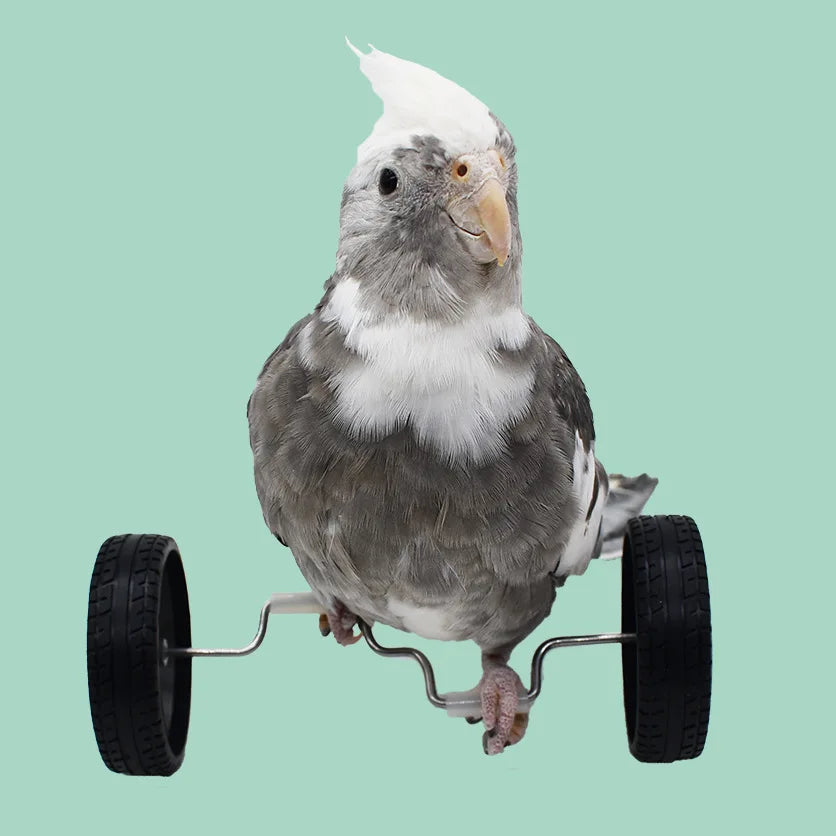 Phoenix Bird Parrot Balance Car Toy