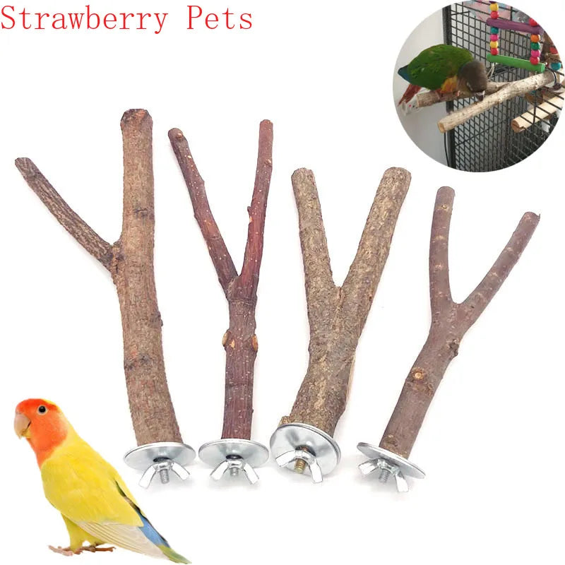 Natural Wood Pet Parrot Branch Stand Rack